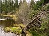 DSC06031.jpg